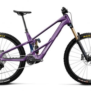 Orbea Wild LT M10